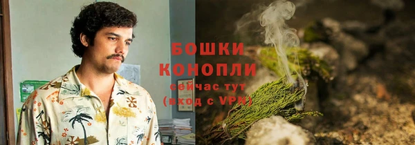 прущие грибы Армянск