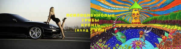 спайс Алексин