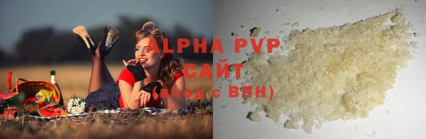 прущие грибы Армянск