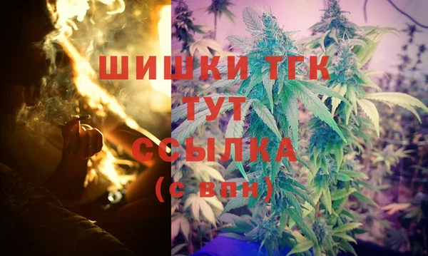 прущие грибы Армянск