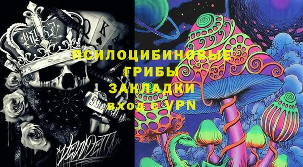 прущие грибы Армянск