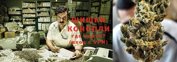 стафф Аркадак