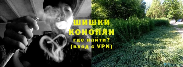 прущие грибы Армянск