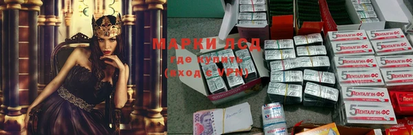прущие грибы Армянск