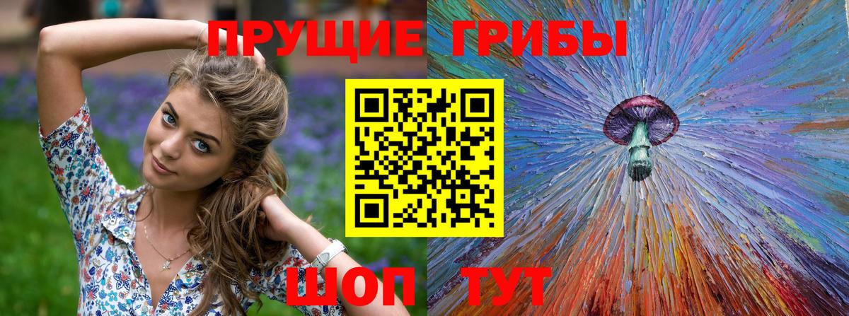 Псилоцибиновые грибы прущие грибы Черкесск